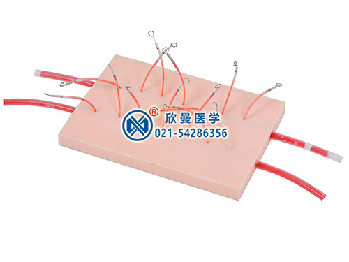 表面血管結扎止血操作模型