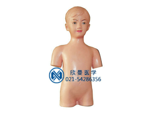 兒童（小兒）腹腔穿刺模型